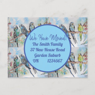 Blue Budgie Art Nouvelle Adresse Carte Postale Nou