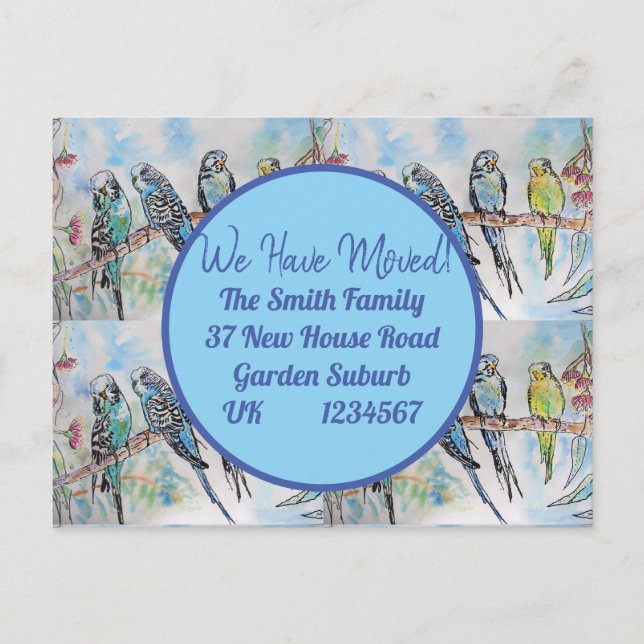 Blue Budgie Art Nouvelle Adresse Carte Postale Nou (Devant)