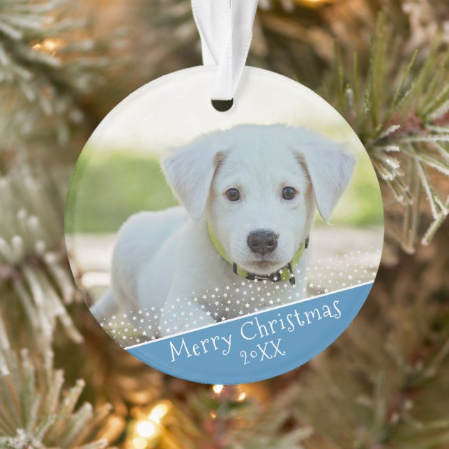 Blue Dog Pet Photo Christmas Holiday Keepsaké (Arbre)