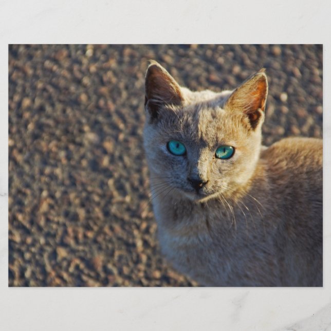 Blue Eyed (Devant)