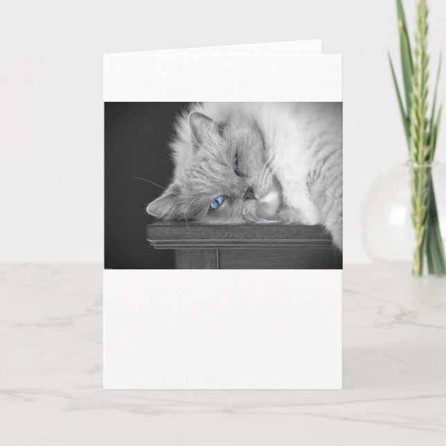 Blue Eyes, carte (Devant)