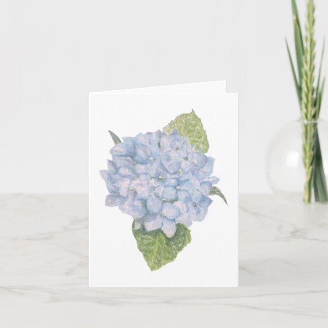 Blue Hydrangea Blank (Devant)