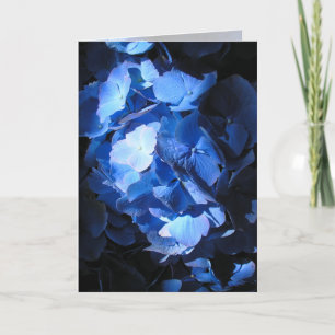 Blue Hydrangea - Carte de voeux