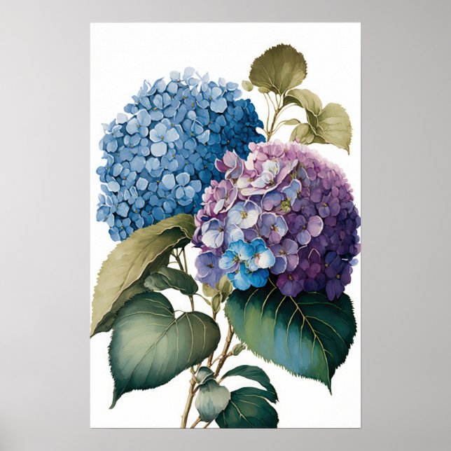 Blue Hydrangea Flowers Art Imprimer Poster (Devant)