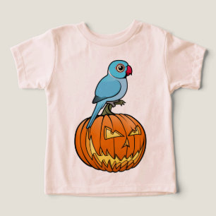 Blue Indian Ringneck sur citrouille Halloween