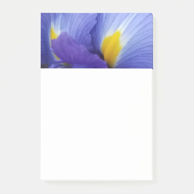 Blue Iris Flower 4x6 Post-It Notes (Devant)