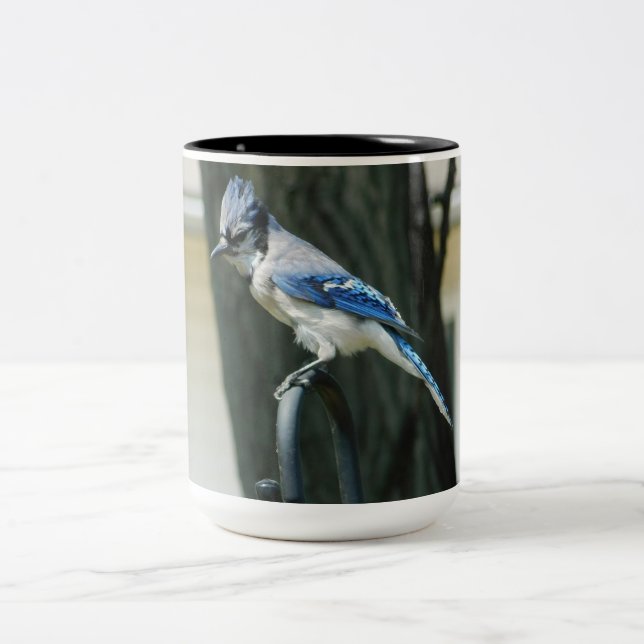 Blue Jay Bird Photography 15oz Coffee Mug (Centre)