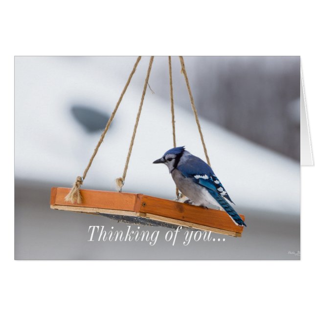 Blue Jay Déjeuner Penser À Votre Carte (Devant Horizontal)