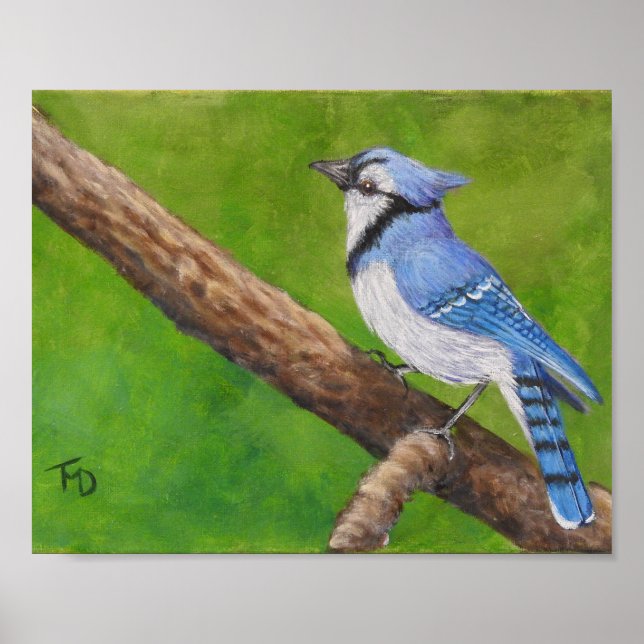 Blue Jay - Poster (Devant)