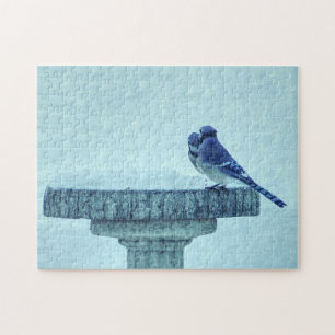 Blue Jays Winter Nourriture Painterly Puzzle