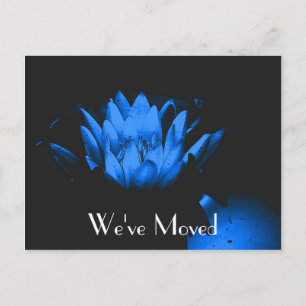 Blue Lily Nouvelle adresse Floral Carte postale