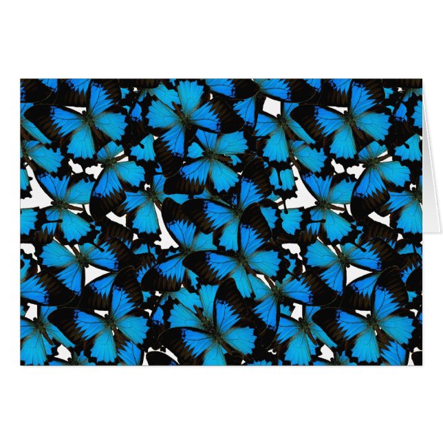 Blue Mountain Swallowtail (Devant Horizontal)