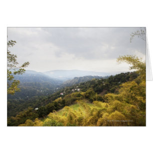 Blue Mountains sur Kingston