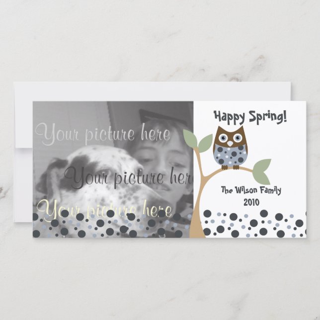 Blue Owl Baby (Devant)