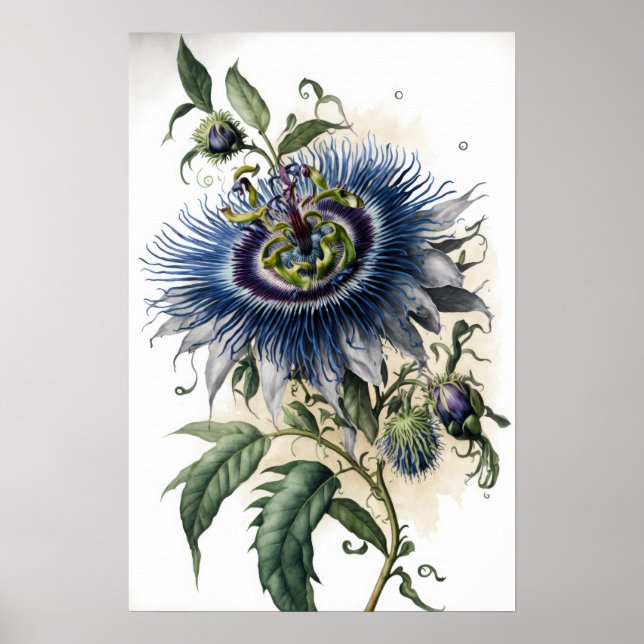 Blue Passion Flowers Art Imprimer Poster (Devant)