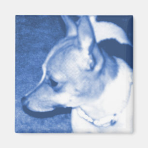 Blue Pop Art Chihuahua Magnet