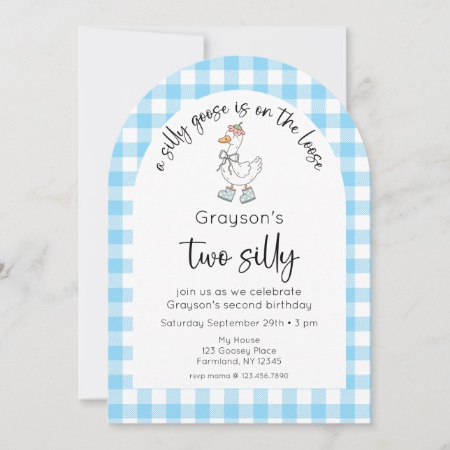 Blue Silly Goose 2e anniversaire Invitation photo (Devant)