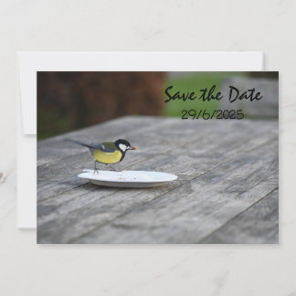 Blue Tit Bird Feed Enregistrer La Carte D'Invitati