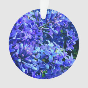 Blue violet lilas romantique bleu floral photo