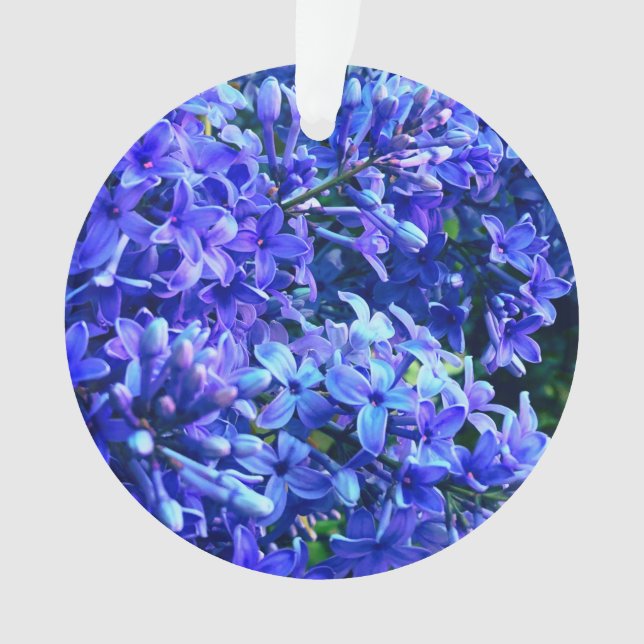 Blue violet lilas romantique bleu floral photo (devant)