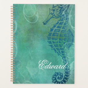 Blue Waters, Seahorse et Flourish