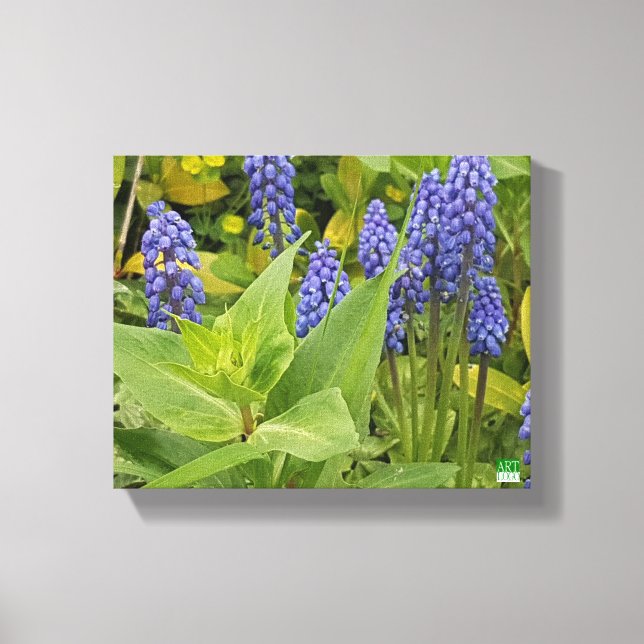 Bluebell Flowers Art Photo Imprimer Sur Toile (Recto)
