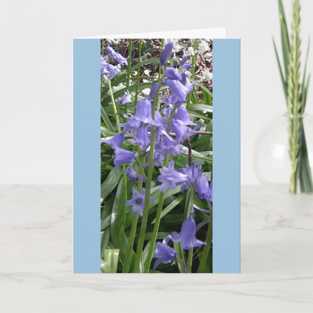 Bluebells Close Up Carte photo - Tall (Devant)