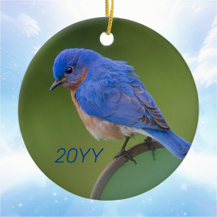 Bluebird 2022 Ornement en céramique de Noël
