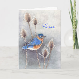 Bluebird Among Thistles Carte de Pâques