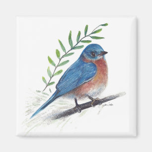 Bluebird Bird Art Magnet