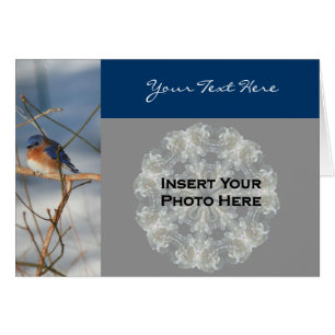 Bluebird in Winter Nature Carte photo