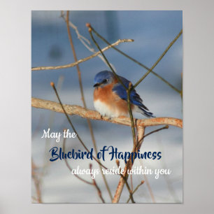 Bluebird Of Happiness Inspiration Poster