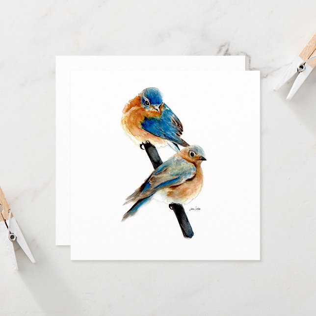 Bluebird Pair belle aquarelle (Bluebird Pair Watercolor from Jenn Steffen Art)