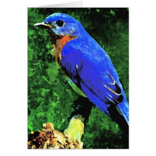 Bluebird Toutes les occasions