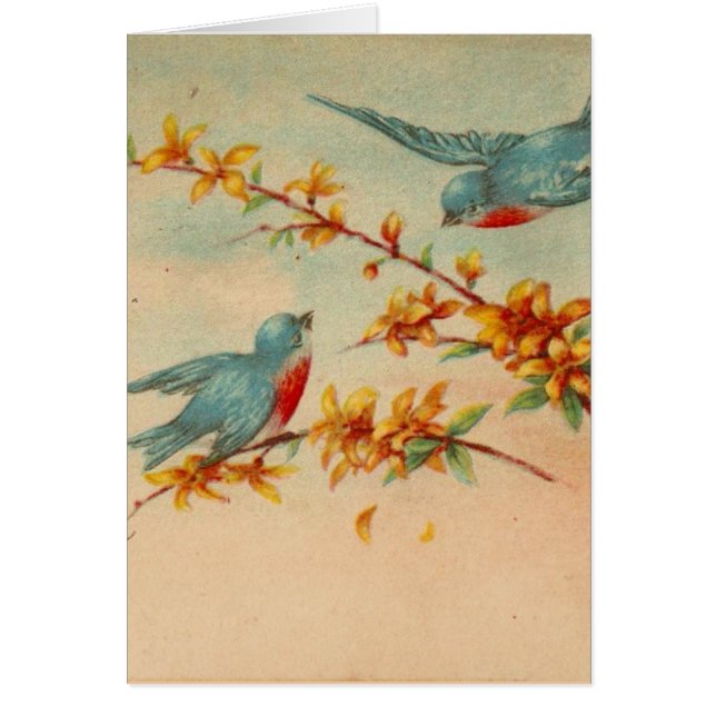 Bluebirds vintages (Devant)