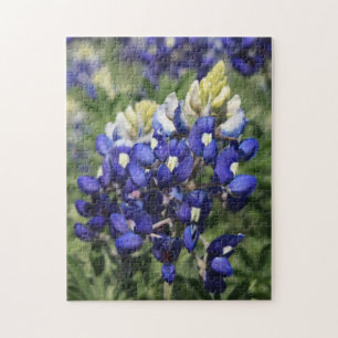 Bluebonnet de puzzle
