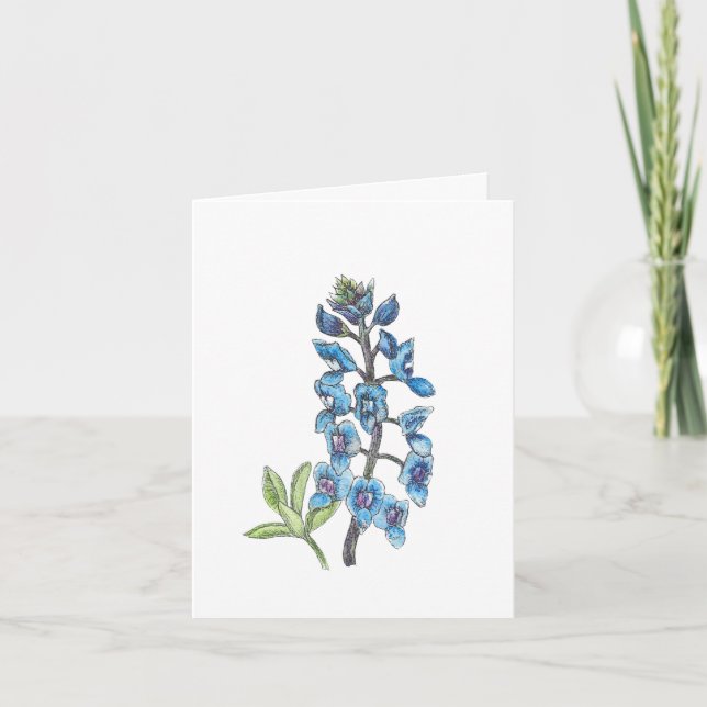 Bluebonnet en ligne et laver 1 sur 4 blanc (Devant)