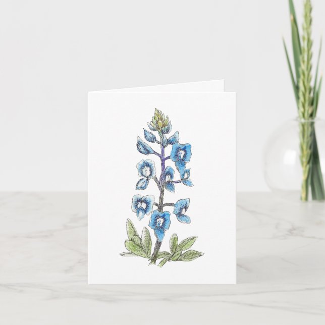 Bluebonnet en ligne et laver 3 sur 4 blanc (Devant)