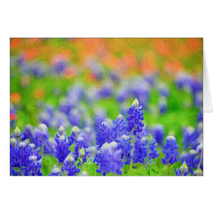 Bluebonnet sur la toile