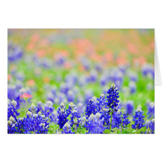 Bluebonnets à la soirée