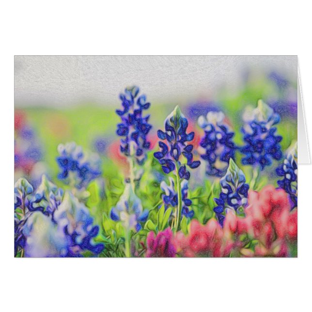 Bluebonnets dans la craie (Devant horizontal)