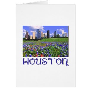 Bluebonnets de Houston Texas