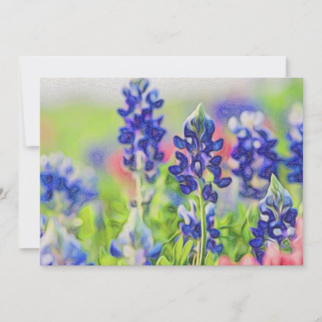 Bluebonnets impressionnistes (Devant)