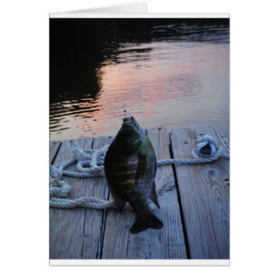 Bluegill au coucher du soleil Lac Arrowhead