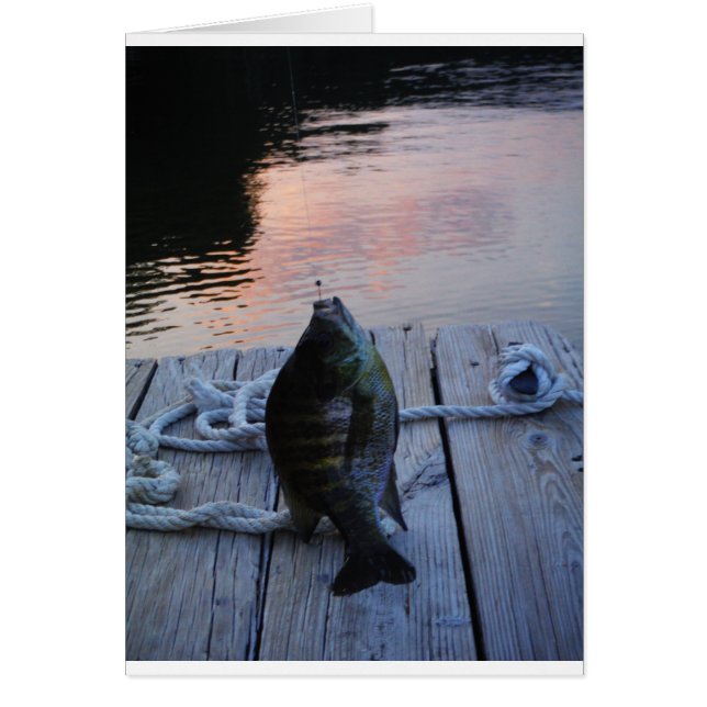 Bluegill au coucher du soleil Lac Arrowhead (Devant)