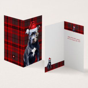 Bluenose Pitbull Chien de vacances Red Plaid Noël