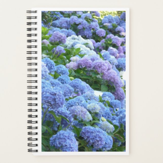Blues Muse Hydrangeas Carnet Spiral (Devant)