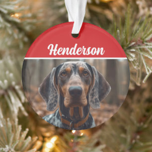 Bluetick Coonhound Nom de la photo Fête Noël