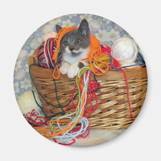 Bob Spinn'in a Yarn Magnet (Devant)