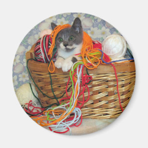 Bob Spinn'in un aimant de fil